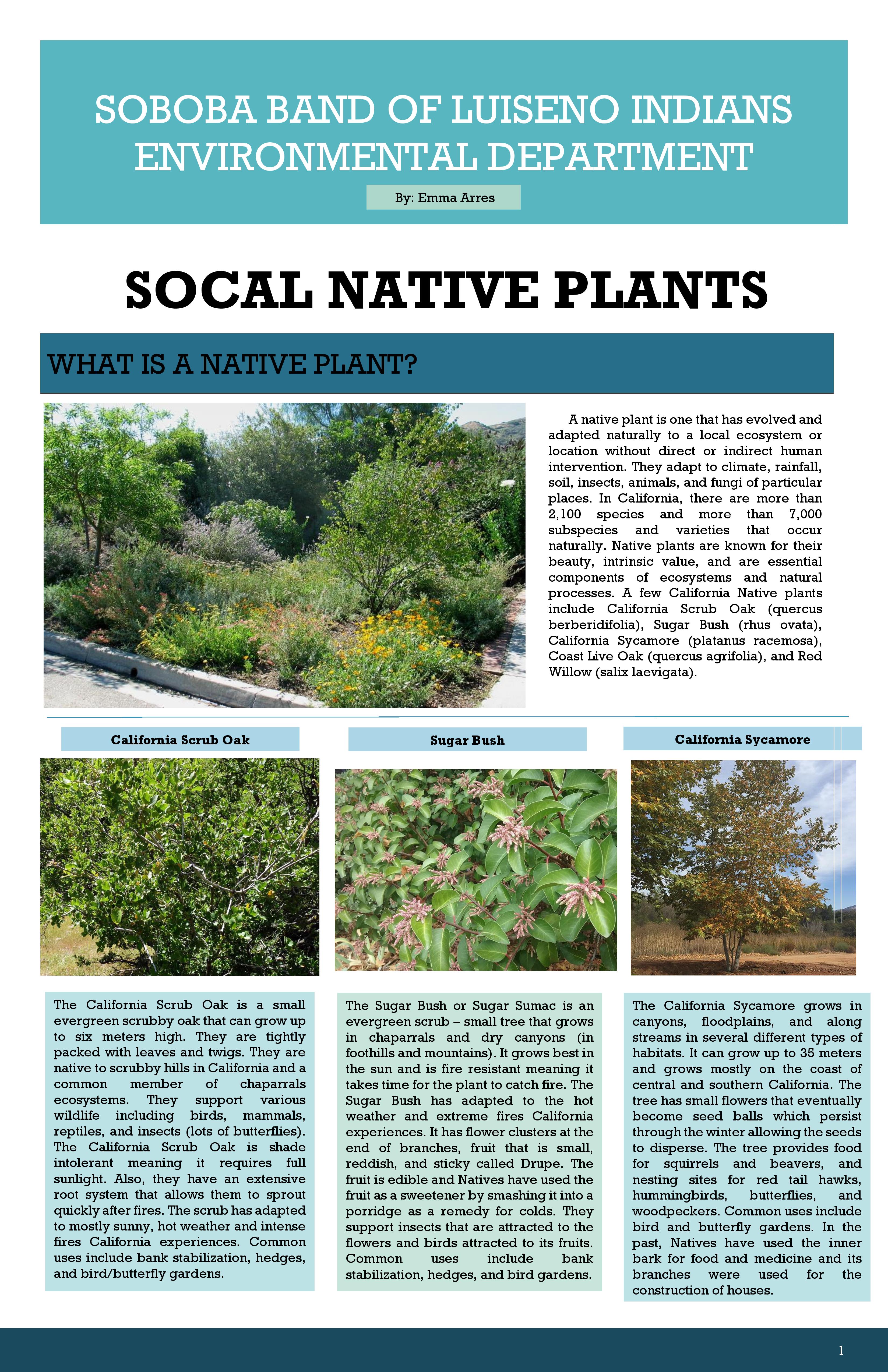 SoCal Native Plants